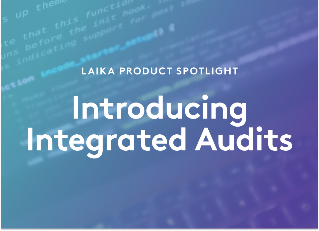 Product Spotlight: Introducing Integrated Audit