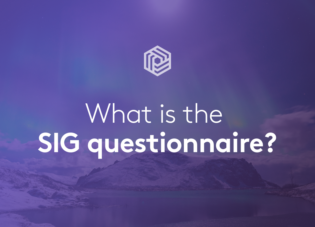 What is the SIG Questionnaire?